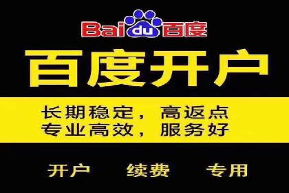SEM竞价开户全攻略：实战案例分享